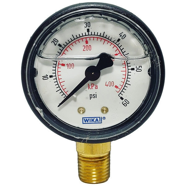 Pressure Gauge, 0 to 60 psi, 1/4 in MNPT, Black