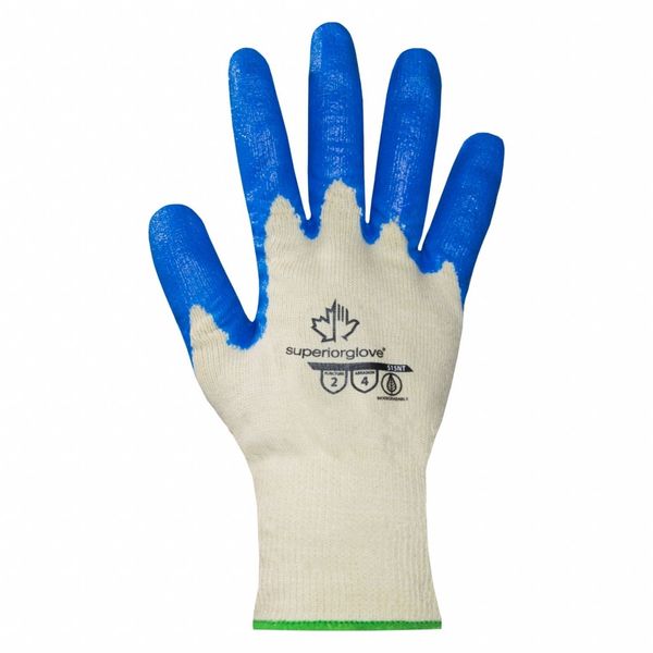 Dexterity Ctn Glv Nt Ct10, PR