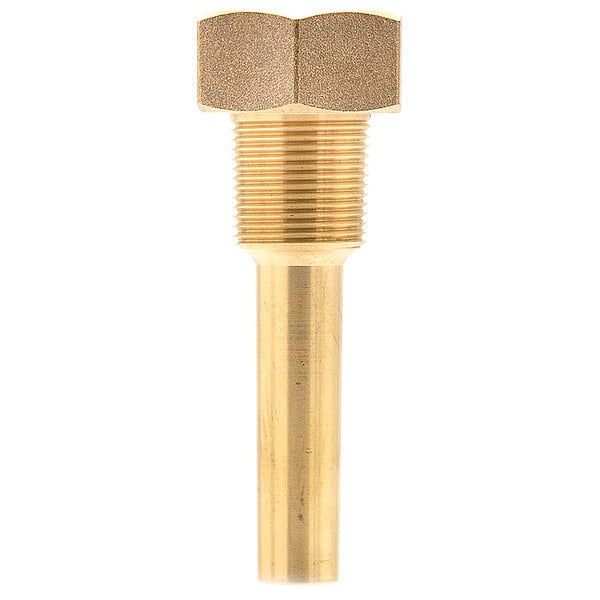 Threaded Thermowell, 2-1/2