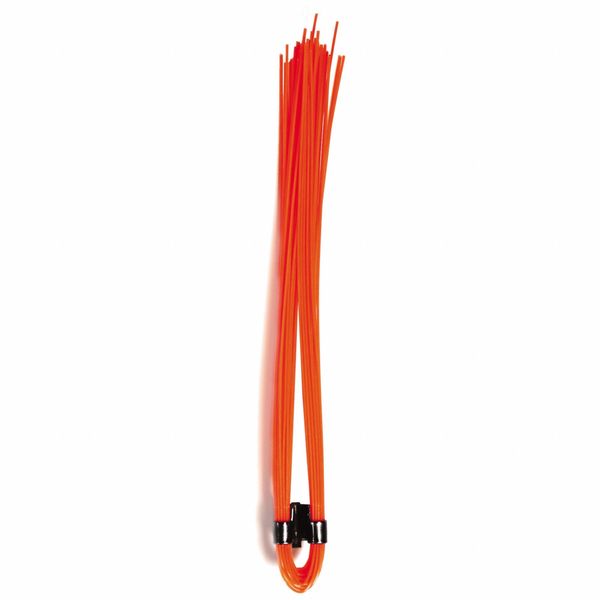 Whiskers, PK1000