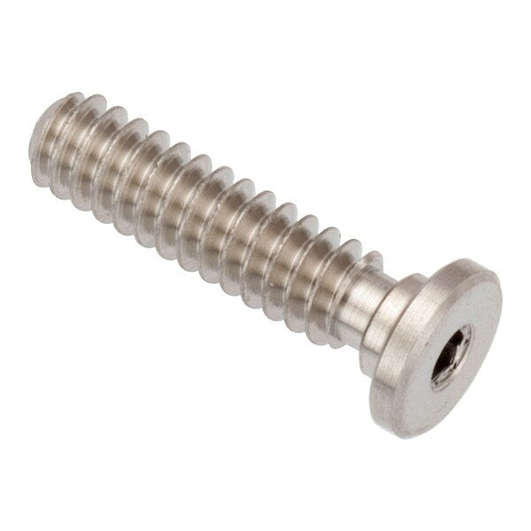 Socket Head Screw