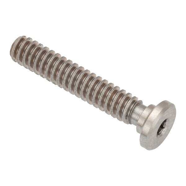 Socket Head Screw