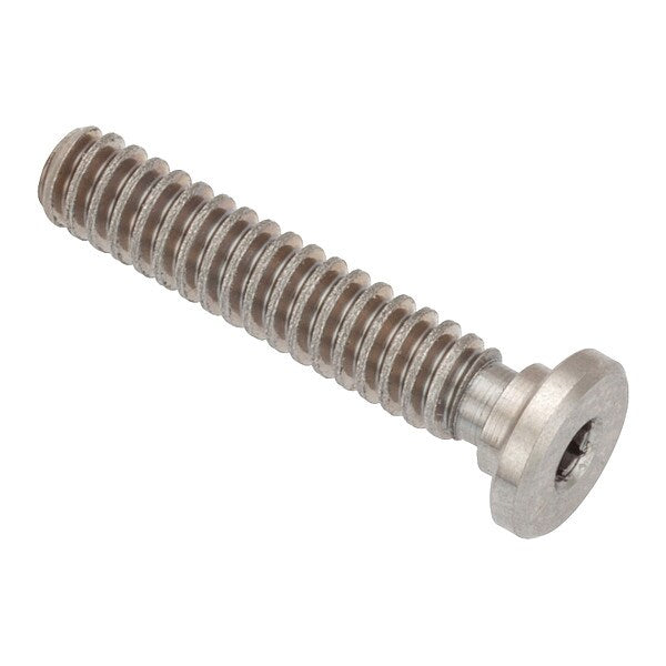 Socket Head Screw