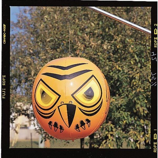 Visual Bird Repellers, Scare Eyes, Orange