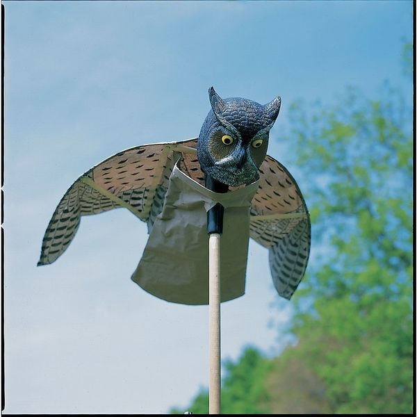 Visual Bird Repellers, Prowler Owl