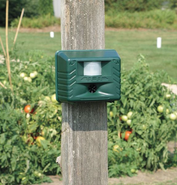 Animal Repeller, Electronic, 90dB, 2W
