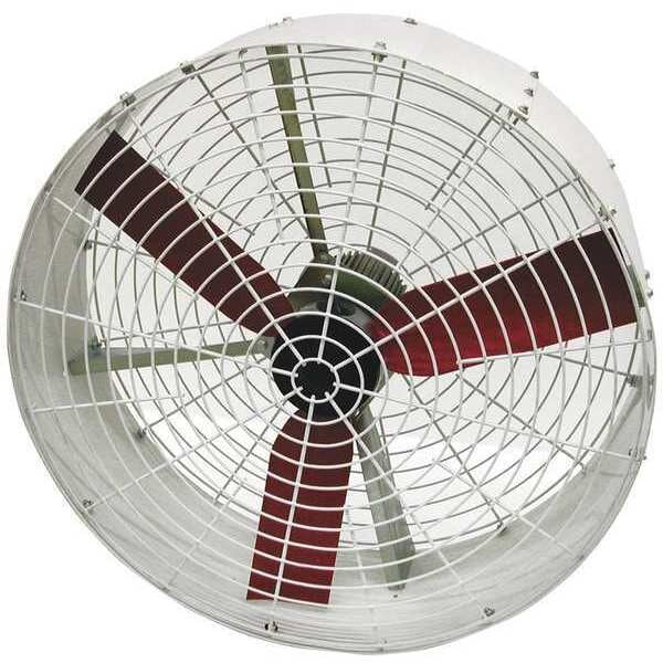Corr Res Air Circ, 36 In, 12,000 cfm, 240V