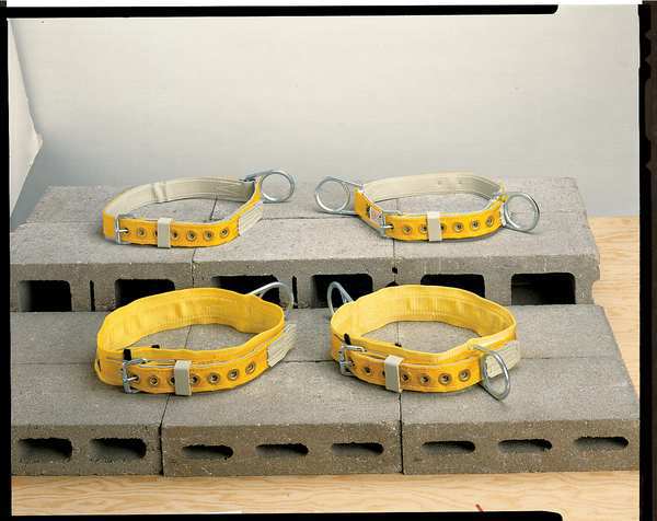 Body Belt, 1 D-Rings, Size M