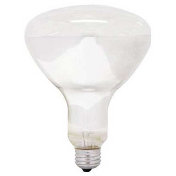 GE LIGHTING 250W, R40 Incandescent Heat Light Bulb
