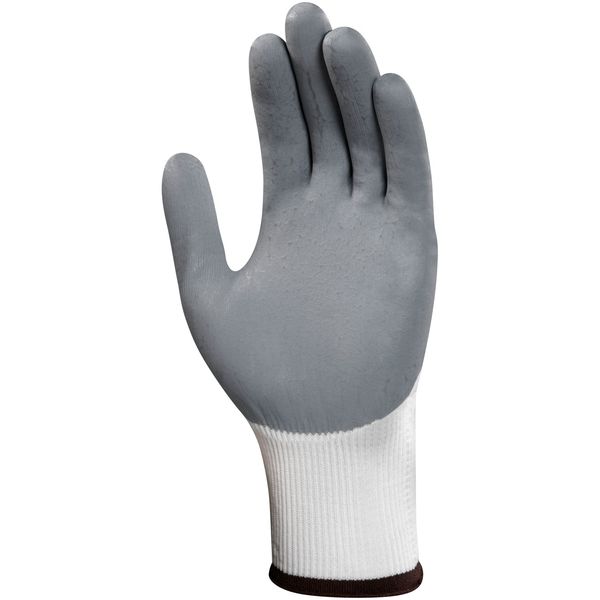 Foam Nitrile Coated Gloves, Palm Coverage, White/Gray, L, PR