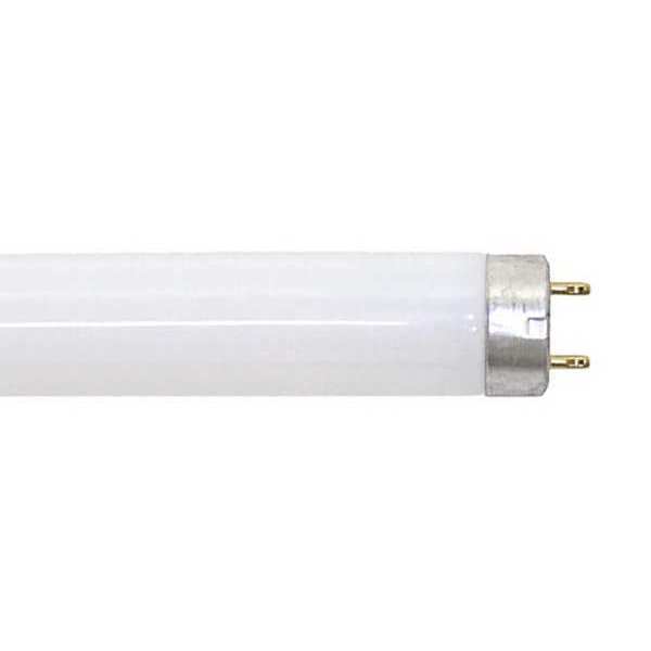 Fluorescent Linear Lamp, T8, Cool, 4100K