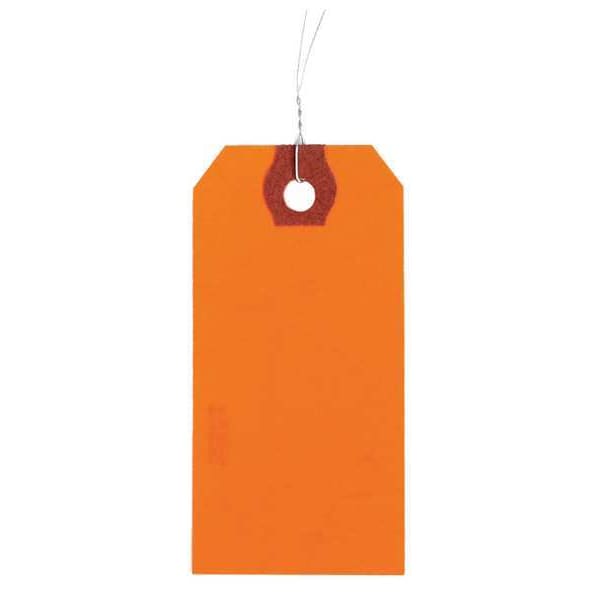 Wire Tag, Paper, Blank, PK1000