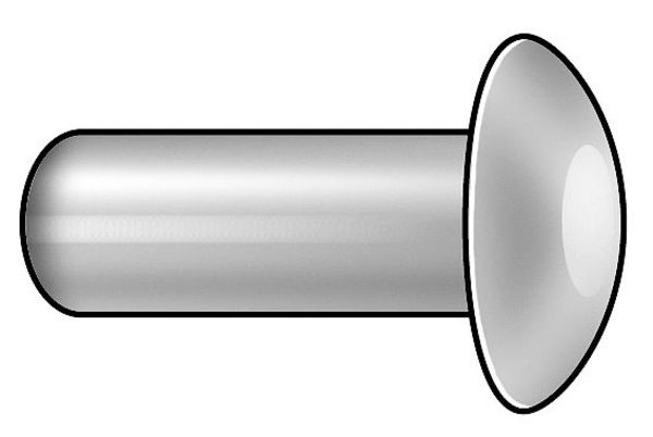 Semi-Tubular Rivet, Oval Head, 1/4 in Dia., 5/8 in L, Stainless Steel Body, 25 PK