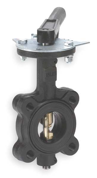 Butterfly Valve, Lug, 2 In, CI, EPDM Liner