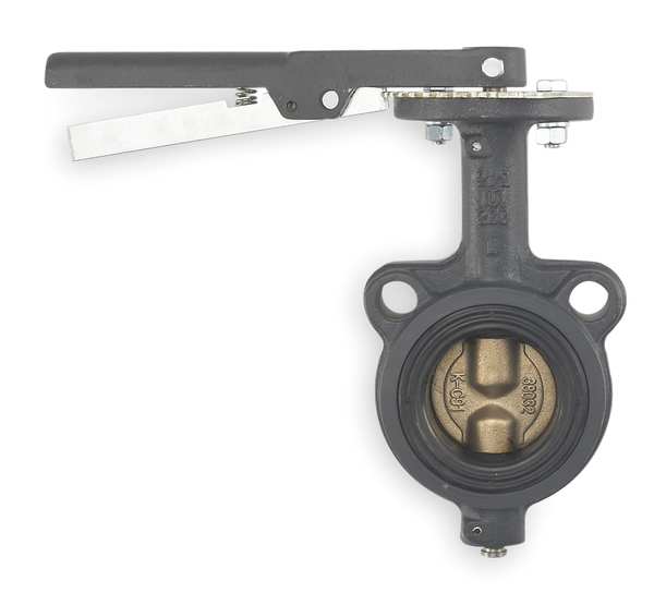Butterfly Valve, Wafer, 2 In, Cast Iron