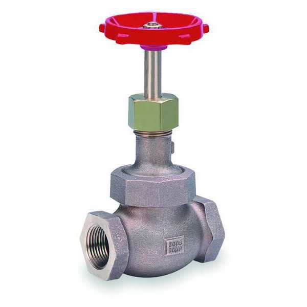 Globe Valve, Class 300, 2 In.