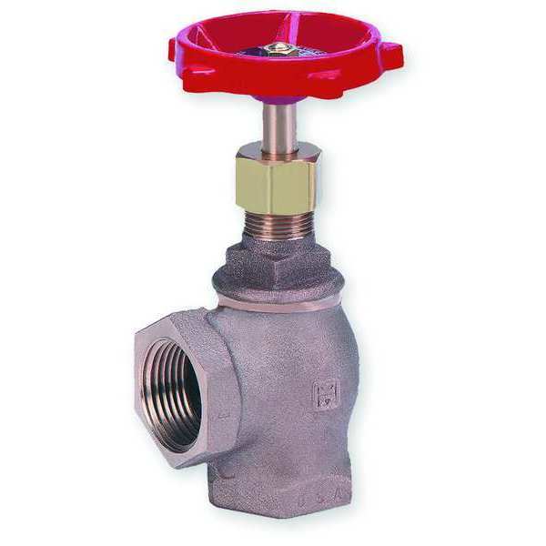 Angle Globe Valve, Class 125, 1 In., FNPT