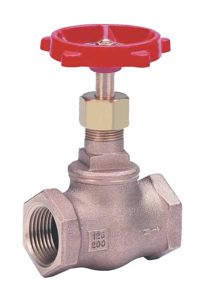 Globe Valve, Class 125, 2-1/2 In.