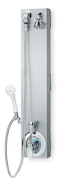 Shower, ADA Pivoting Surface Mount