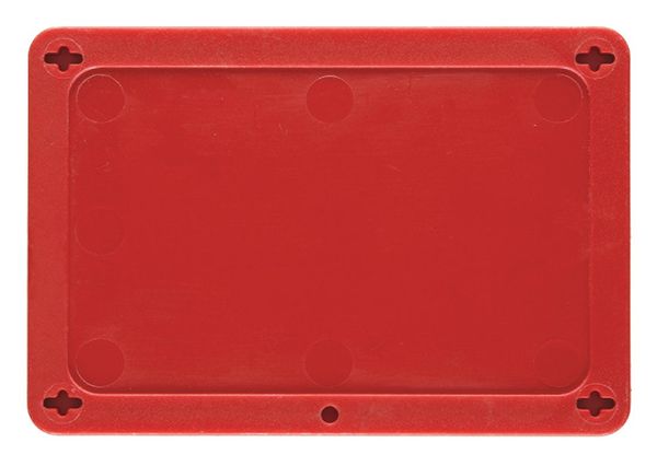 Blank Tag, 2-1/2 x 4 In, R, Plstc