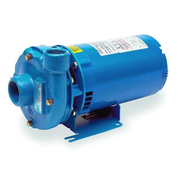 Cast Iron 3/4 HP Centrifugal Pump 115/230V