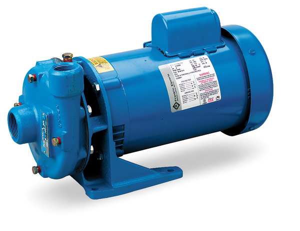 Cast Iron 2 HP Centrifugal Pump 115/230V