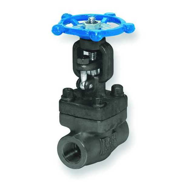 Gate Valve, Class 800, 3/8 In., FNPT