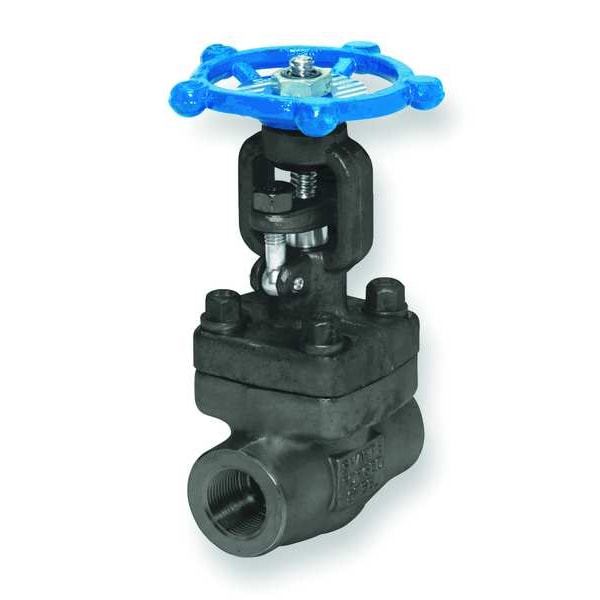 Gate Valve, Class 800, 1/2 In.