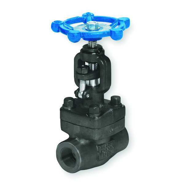 Globe Valve, Class 800, 1/2 In., FNPT