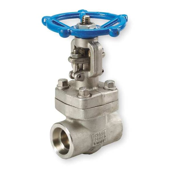 Gate Valve, Class 800, 1-1/4 In.