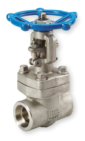 Gate Valve, Class 800, 3/4 In.