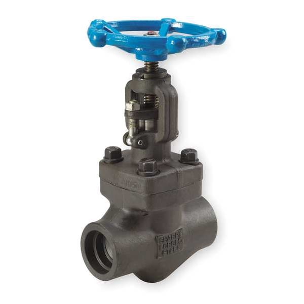 Globe Valve, Class 800, 2 In.