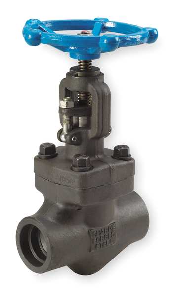 Globe Valve, Class 800, 1/4 In.