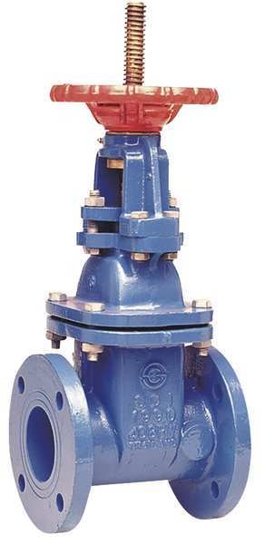Gate Valve, Class 250, 4 In.