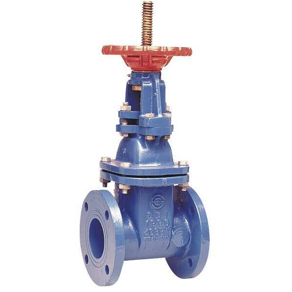 Gate Valve, Class 250, 2-1/2 In.