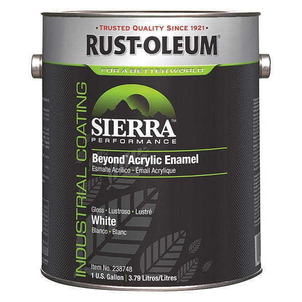Interior/Exterior Paint, Glossy, Water Base, White, 1 gal