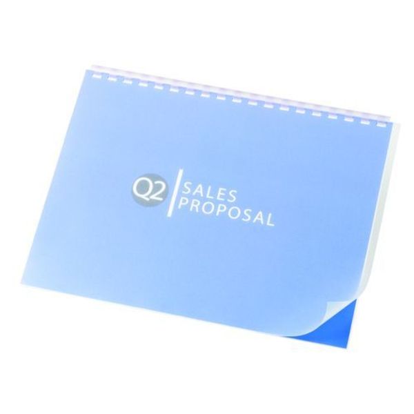 Binding Covers, Plastic, Frost, PK25