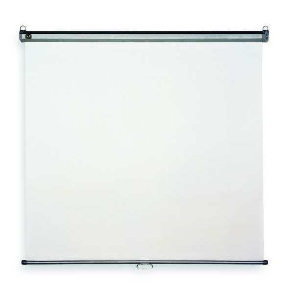 Projection Screen, 60 x 60 In Viewable