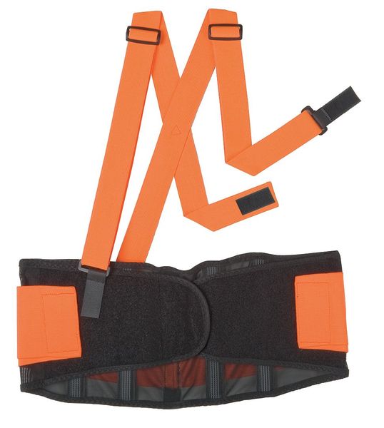 Back Support, L