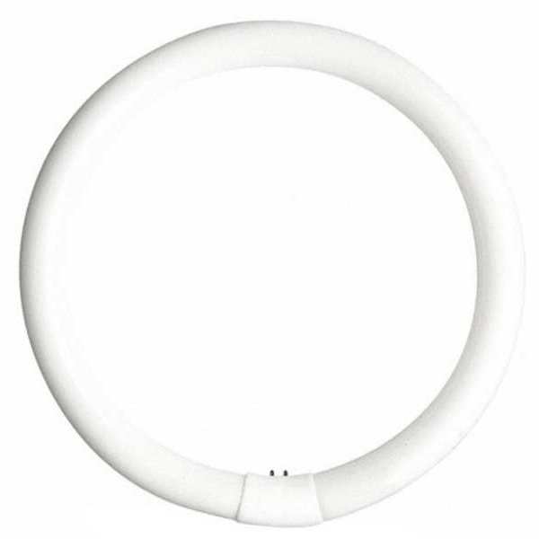 GE LIGHTING 32W, T9 Circular Fluorescent Light Bulb