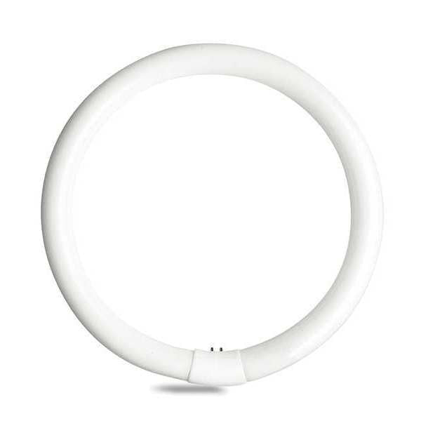 GE LIGHTING 40W, T9 Circular Fluorescent Light Bulb