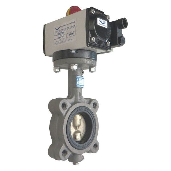 Butterfly Valve, Dbl Acting, Iron, 2-1/2 In
