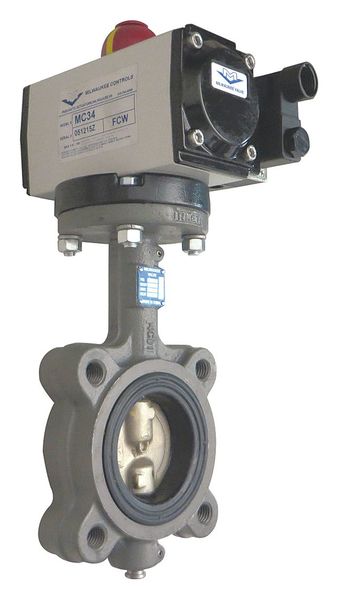 Butterfly Valve, Spring Return, Cast Iron