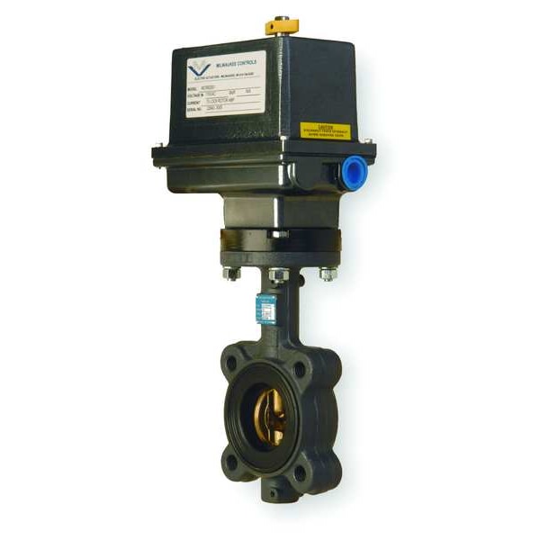 Butterfly Valve, Electronic, 2 In NPT