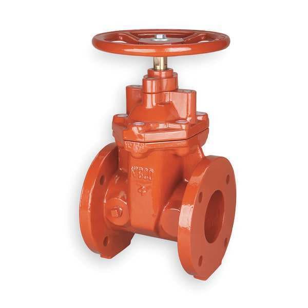 Gate Valve, Class 125, 3 In., Flange