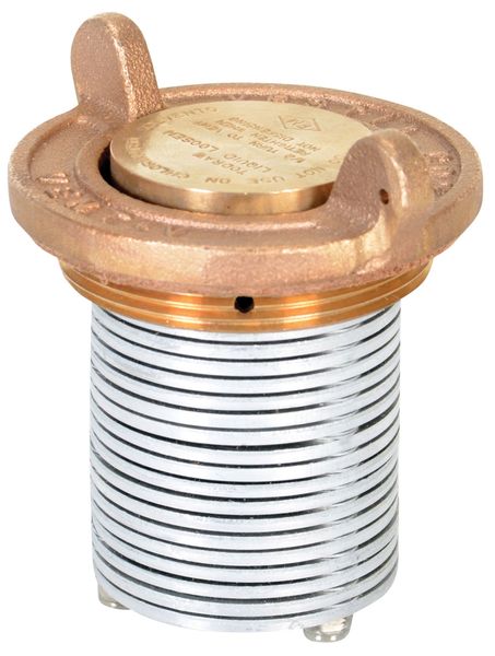 Drum Safety Vent, Vertical, 2 In Threads