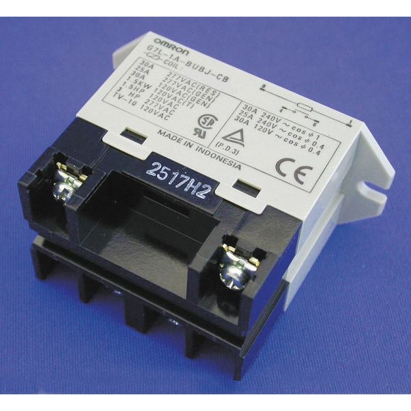 Enclosed Power Relay, Surface (Top Flange) Mounted, SPST-NO, 24V DC, 4 Pins, 1 Poles