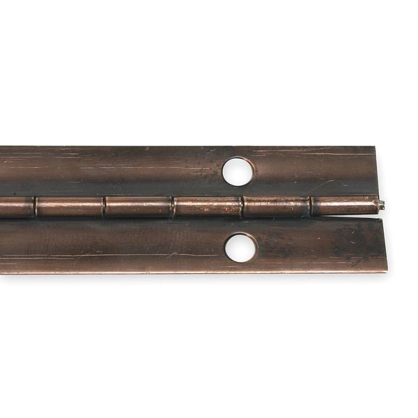 3/4 in W x 48 in H Antique Bronze Continuous Hinge