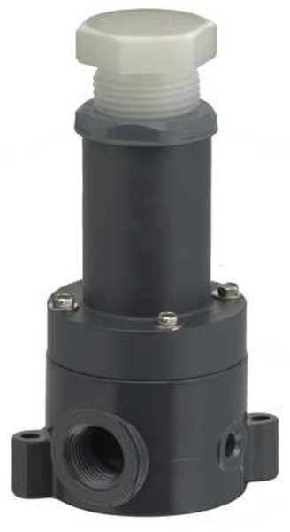 Adjustable Relief Valve, 3/4 In, 100 psi