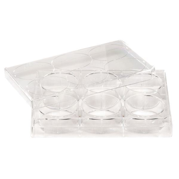 Non-Treated Plate, 6 Well, PK100